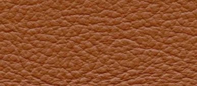 catalina_paprika_upholstery_leather_leathers