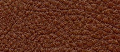 puretann_teddy-bear_72dpi_700x700_cc_upholstery_leather_leathers