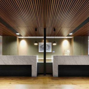 Acoustic Panels Screens And Tiles Instyle