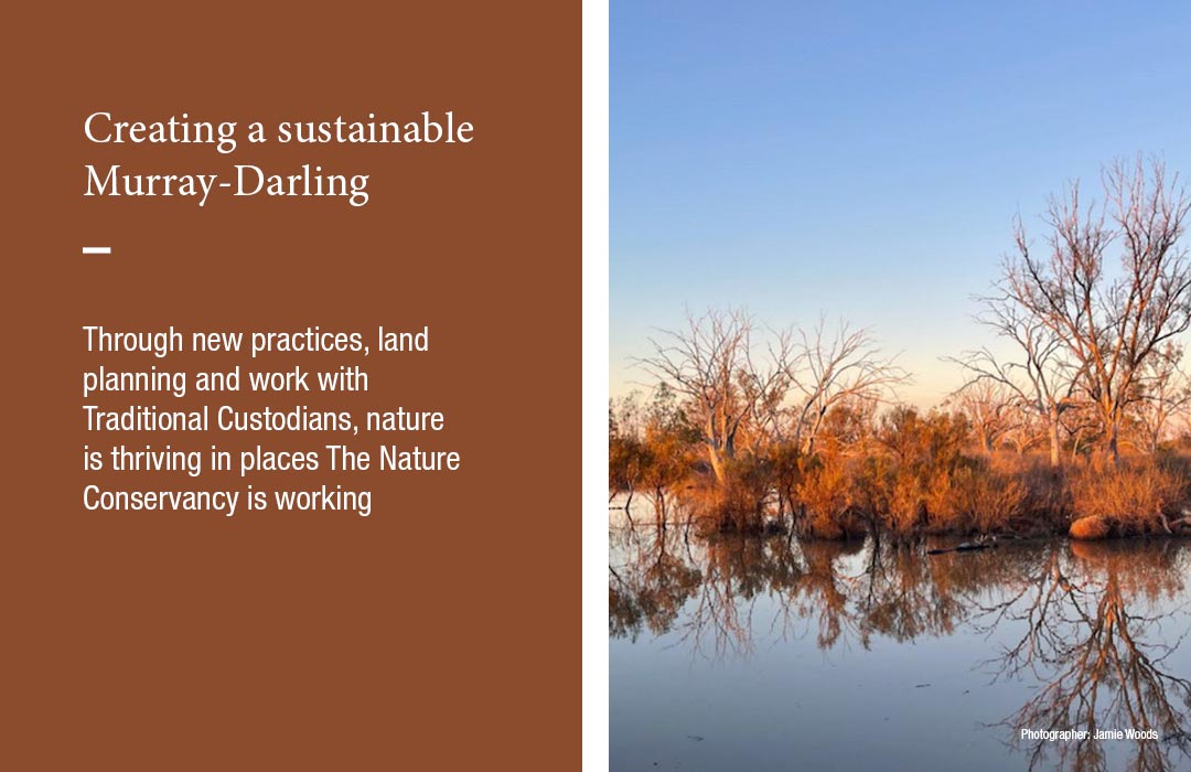 Creating a sustainable Murray-Darling
Through new practices, land planning and work with Traditional Custodians, nature is thriving in places The Nature Conservancy is working